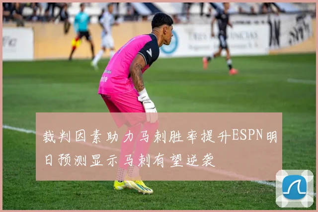 裁判因素助力马刺胜率提升ESPN明日预测显示马刺有望逆袭